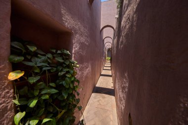 Casa de la Cultura Criolla (Criollo Kültür Evi), aynı zamanda Casa de Carlos A. Saco olarak da bilinir, Lima şehir merkezinde Criollo kültürünün müzik ve sosyal geleneklerini korumaya adanmış canlı bir kültürel alandır..