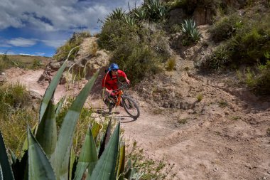 Peru 'nun kutsal vadisi Cusco' da sınırlarını Andean manzaraları ve antik tarım arazileriyle çevreleyen dağ bisikletçileri zorluyor. Bu dinamik açık hava sahnesi macera seyahatini, aktif yaşam tarzını yakalar.,