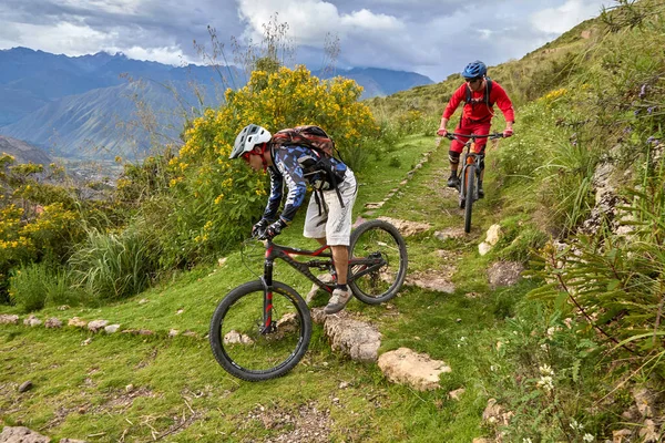 Peru 'nun kutsal vadisi Cusco' da sınırlarını Andean manzaraları ve antik tarım arazileriyle çevreleyen dağ bisikletçileri zorluyor. Bu dinamik açık hava sahnesi macera seyahatini, aktif yaşam tarzını yakalar.,