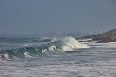 Güçlü bir Pasifik dalgası, doğanın ham güzelliğini ve Perus 'un canlı kıyı manzarası boyunca gezginler ve turistler için ilham verici dinamik deniz çevresini gözler önüne sererek Lima' nın sahil şeridine akmaktadır..
