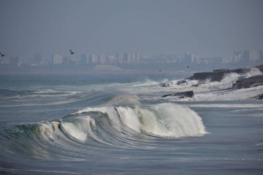 Güçlü bir Pasifik dalgası, doğanın ham güzelliğini ve Perus 'un canlı kıyı manzarası boyunca gezginler ve turistler için ilham verici dinamik deniz çevresini gözler önüne sererek Lima' nın sahil şeridine akmaktadır..