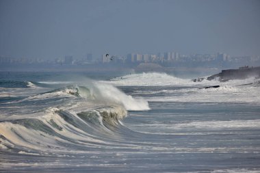 Güçlü bir Pasifik dalgası, doğanın ham güzelliğini ve Perus 'un canlı kıyı manzarası boyunca gezginler ve turistler için ilham verici dinamik deniz çevresini gözler önüne sererek Lima' nın sahil şeridine akmaktadır..