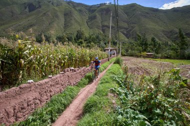Peru 'nun kutsal vadisi Cusco' da sınırlarını Andean manzaraları ve antik tarım arazileriyle çevreleyen dağ bisikletçileri zorluyor. Bu dinamik açık hava sahnesi macera seyahatini yakalar.,