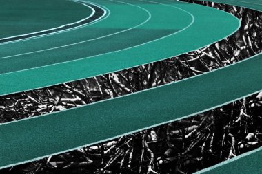 Spor stadyumunun arka planında gri ağaç kökü olan beyaz mavi eğri
