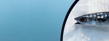 Uskumru balığı çevre kirliliği kavramında plastik çöp yiyor beyaz mavi afiş arka planında