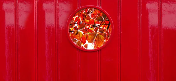 round or circle window with nature red autumn leave colorful wood wall architecture background