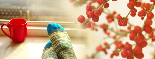 Kobieta Stóp Niebieskiej Skarpetki Czerwonym Filiżanki Kawy Oświetleniem Okna Owoców — Zdjęcie stockowe