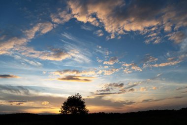 Güneş doğarken masmavi bulutlu gökyüzü ve siluet ağacı doğa manzarası arka planında