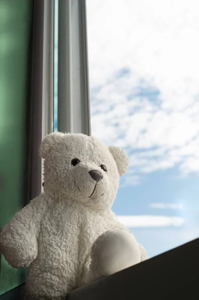 Samotny Siedzi Biały Niedźwiedź Lalka Domu Okno Błękitnym Niebem — Zdjęcie stockowe