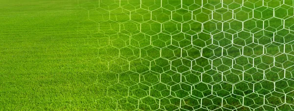 サッカーやサッカーのゴールの白い網天然の緑の草のスポーツ提出バナーの背景 — ストック写真