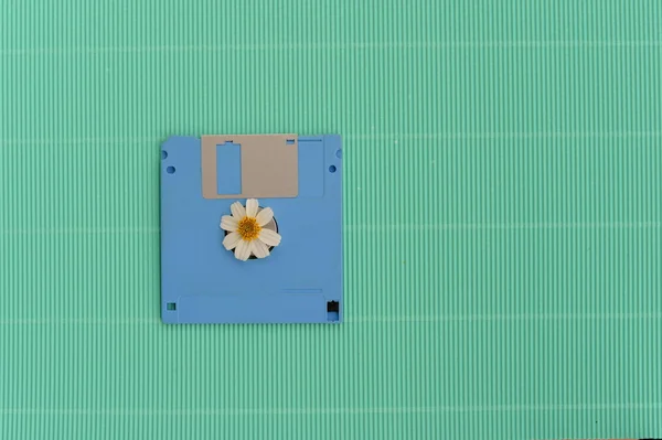 青いフロッピー ディスクと白い花 — ストック写真