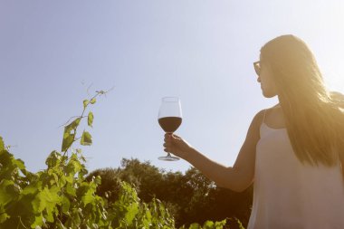 Bir bardak şarapla, güzel üzüm bağlarında günbatımının tadını çıkaran genç bir kız. Yaşam tarzı ve doğa geçmişi..