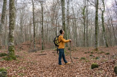 Güzel genç erkek, düşünceli bir şekilde ufuk çizgisine bakıyor ve muhteşem bir ormanda yürüyor. Kopya uzay ile yürüyüş yaşam tarzı konsepti..