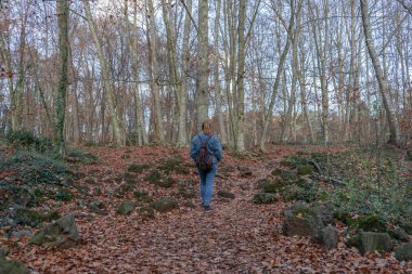 Sırt çantalı bir kadın ormanda yürüyor. Sonbaharda ya da kışın tanınmaz bir turistik yaşam tarzı.