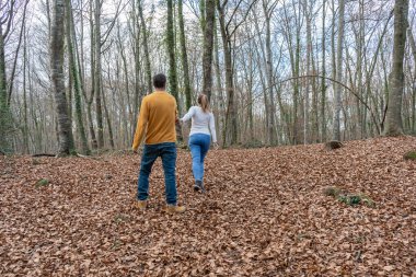 Güzel ormanda yürüyen bir çift. Genç kadın erkeklerin elini tutuyor. Aşk ve arkadaşlık yaşam tarzı kavramı..