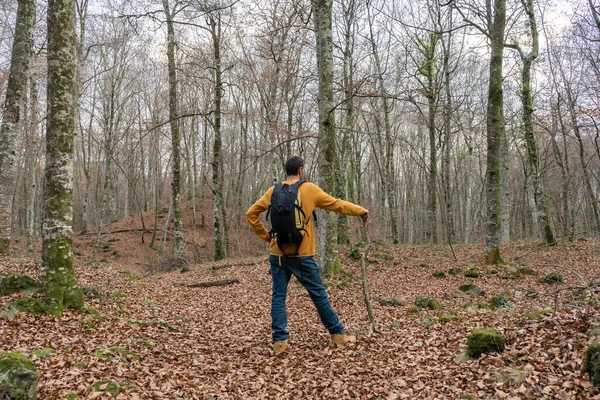 Moda Masculina Com Mochila Andando Caminhando Floresta Segurando Pau Madeira — Fotografia de Stock