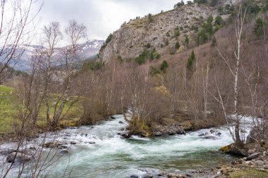 Güzel bir dağ nehri manzarası. İspanyol Pireneleri 'ndeki doğa parkı arka planı, Noguera Pallaresa nehri. .