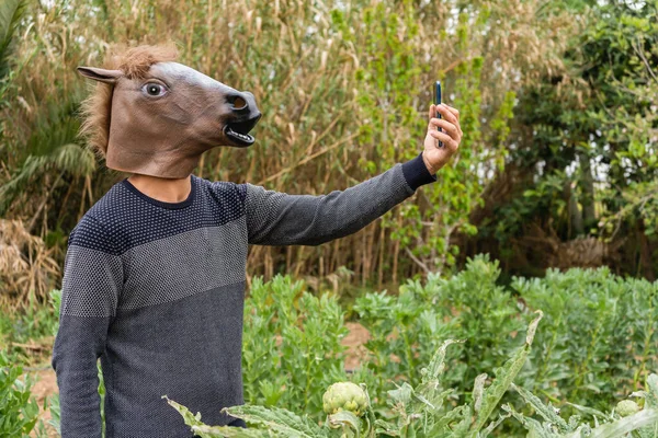 Mann Mit Pferdekopfmaske Macht Garten Ein Selfie Mit Dem Smartphone lizenzfreie Stockfotos