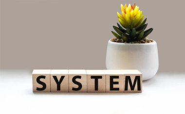 Tahta bloklar üzerinde metin: Beyaz arkaplanda SİSTEM. Eğitim kavramı.