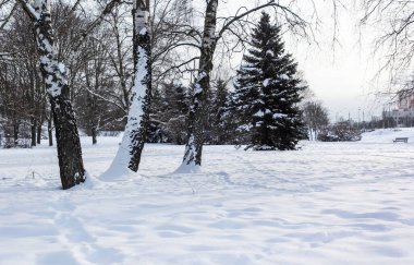 Kentteki kış parkında karla kaplı banklar