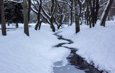Kış ağaçları ve gün boyunca parkta bir dere.