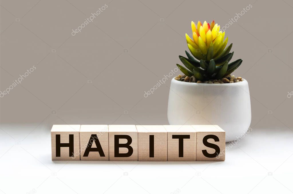 the word habits written on a wooden block and a white background, next to a cactus flower