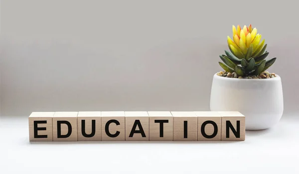 Education - word from wooden blocks with letters, education concept on white background with cactus