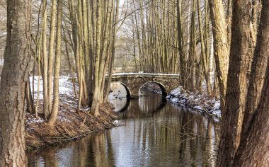 Parktaki küçük bir dere boyunca göz şeklinde eski bir taş köprü..