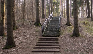 Baharın başında bir orman parkında parmaklıklı taş merdiven.