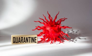 Karantina kelimesi tahta bir bloğa ve beyaz bir arka plana yazılmıştır..