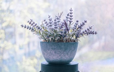 Bulanık arka planda mavi bir tencerede bir demet lavanta.