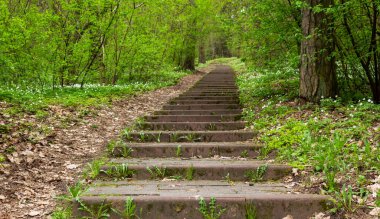 Baharın başında şehir parkında taş merdiven..