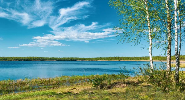 Las Jezioro Pod Błękitnym Chmurnym Niebem Piękne Brzozy Brzegu — Zdjęcie stockowe