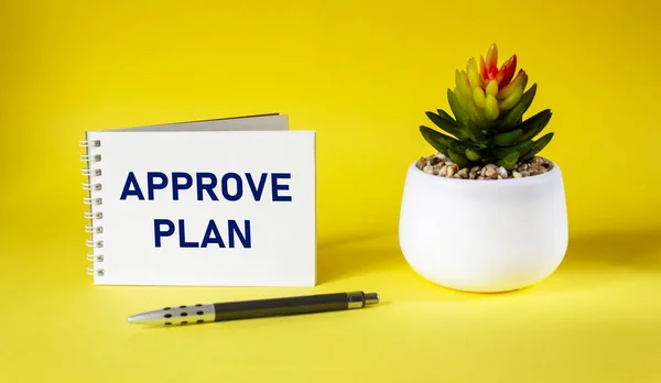 Approved plan. The text APPROVED PLAN is written on a notebook with a cactus on a yellow background.