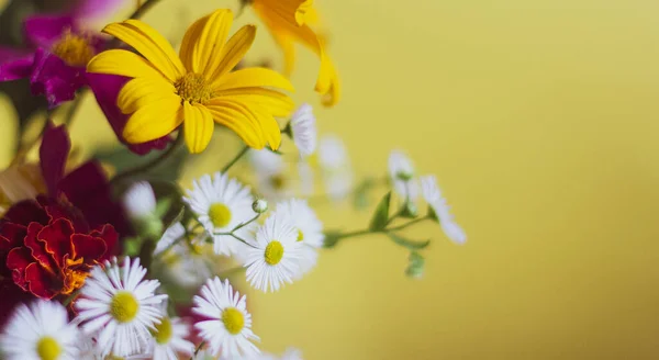 Μπουκέτο Λουλούδια Κοντά Κίτρινο Φόντο Χώρος Για Γράψιμο Διακόσμηση Μαργαρίτες — Φωτογραφία Αρχείου