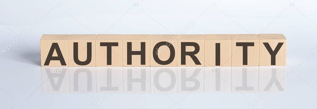 AUTHORITY concept word on the wooden cube blocks on white glossy background