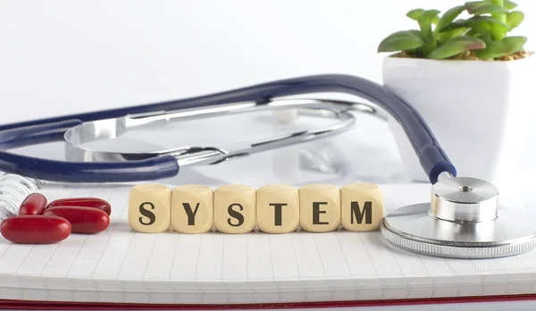 SYSTEM word with building blocks, medical concept background.