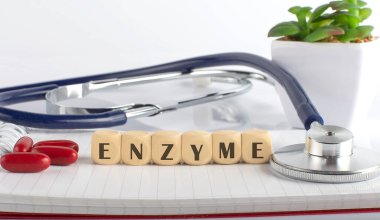 İnşaat taşları ve tıbbi konsept geçmişi olan ENZYME kelimesi.