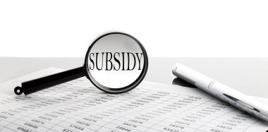 Kalemle arka planda metin SUBSIDY ile büyüteç