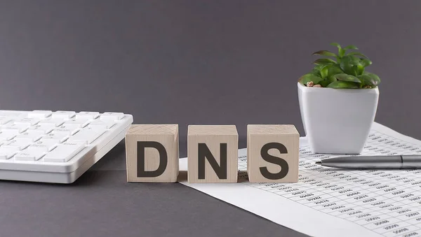 Concetto Parola Dns Sui Blocchi Legno Sfondo Grigio Fiore Verde — Foto Stock