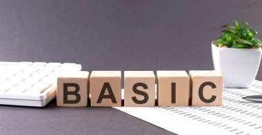 BASICS sözcüğünü yeşil çiçek ve grafiğin gri arka planında tahta bloklar üzerinde kavramsallaştır.