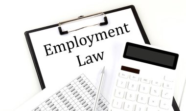 Beyaz arkaplanda grafik ve hesap makinesi olan dizin üzerinde EMPLOYMENT LAW metin