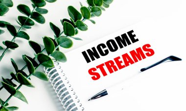 Beyaz kalem ve beyaz ofis arka planında yeşil yapraklı spiral bir defter üzerindeki Gelir streamları metni. 