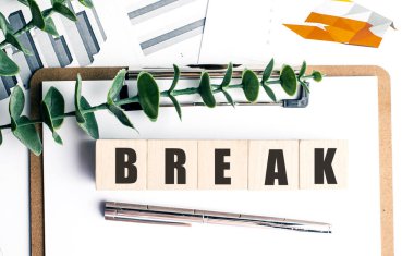 Tahtaya asgari ofis ayarlarında kalem, çizelge ve yeşil bitkiyle yerleştirilen tahta bloklar hakkında son dakika haberi . 