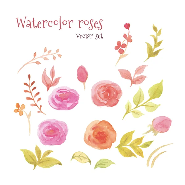 Aquarela Rosas — Vetor de Stock