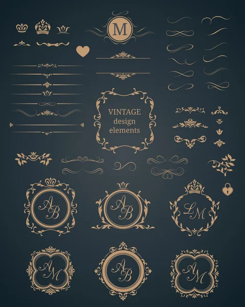 Conjunto vintage de elementos decorativos — Vetor de Stock