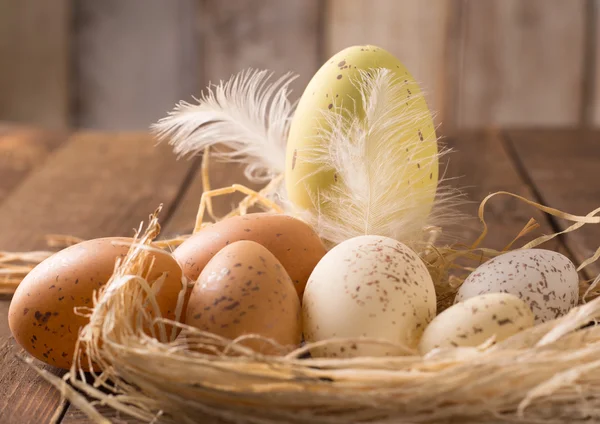 Sfondo pasquale con uova di Pasqua — Foto Stock