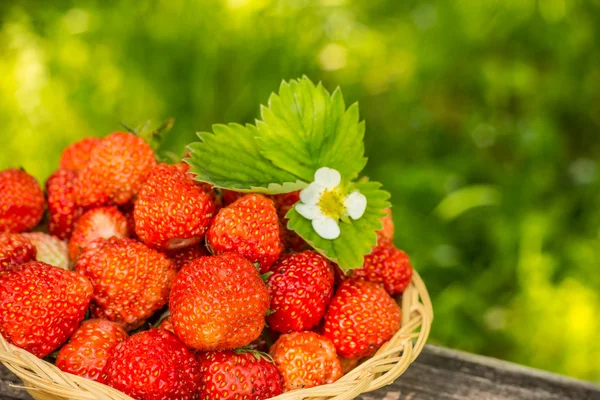 Strawberries — Stock Photo, Image