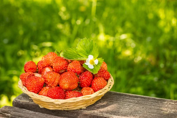 Strawberries — Stock Photo, Image