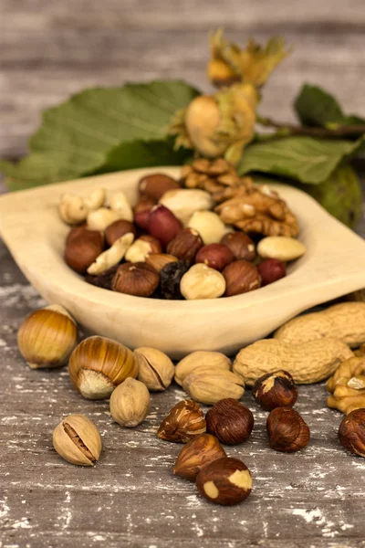 Assortment of nuts — Stock Photo, Image